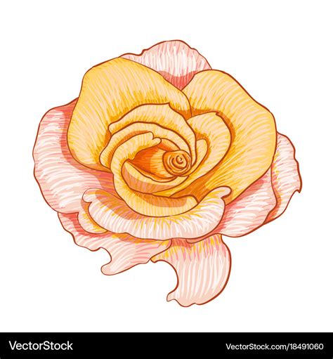 Digital flower drawing