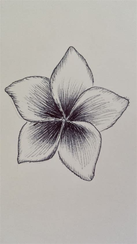 flower drawing pen