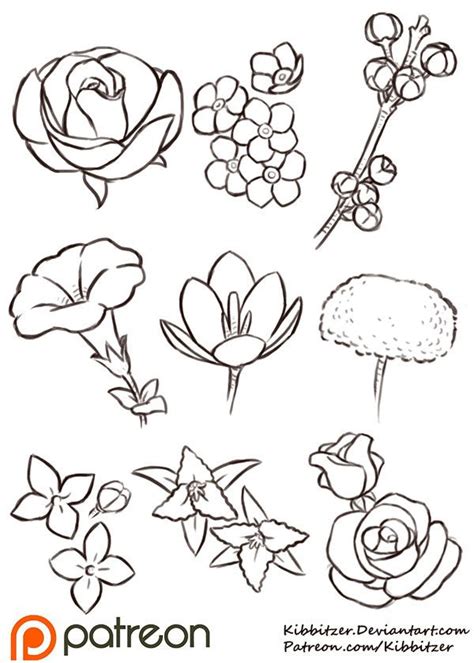 flower drawing reference