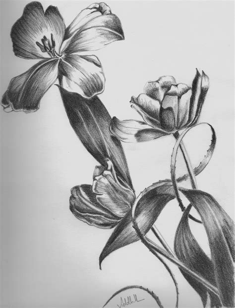 flower drawing shading