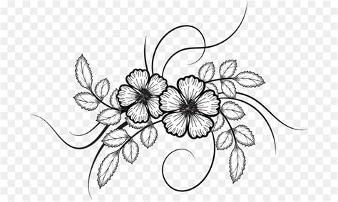 Flower Drawing Transparent Background