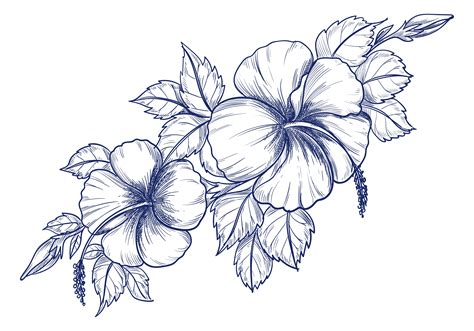 Flower Drawing Vector