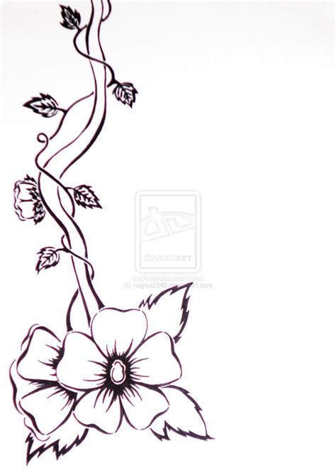 flower drawing vine