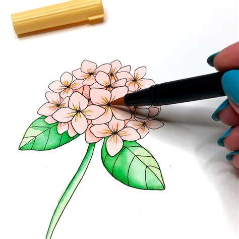 flower drawing with markers