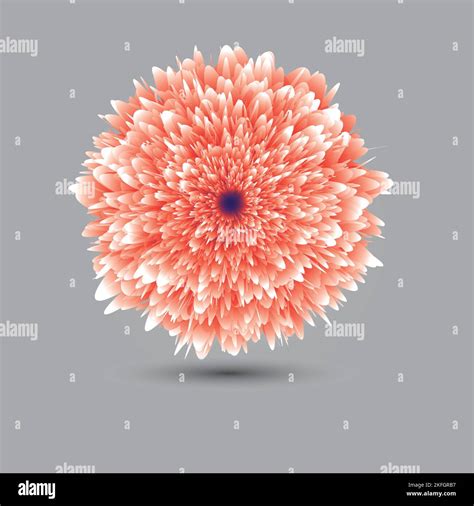 Flower Effect In Adobe Illustrator