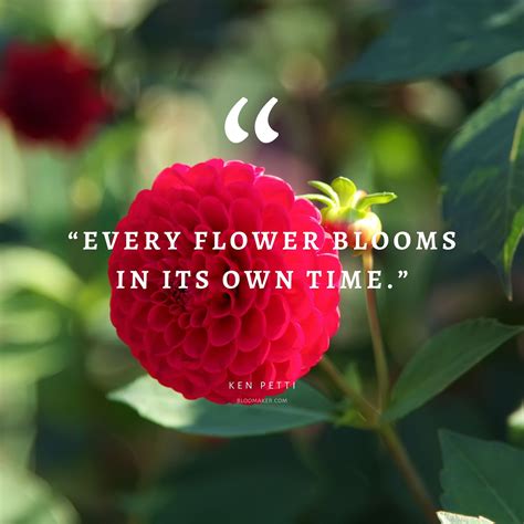 Flower In Bloom Quotes