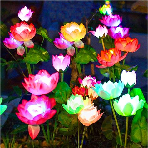 The Best Flower Light References