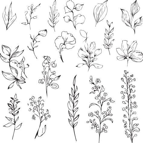 Lotus Flower Line Drawing Cliparts.co