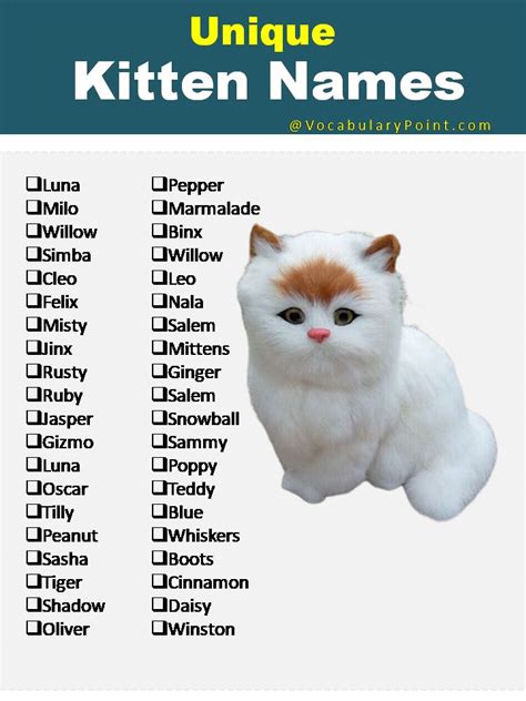 Flower Name For Cat