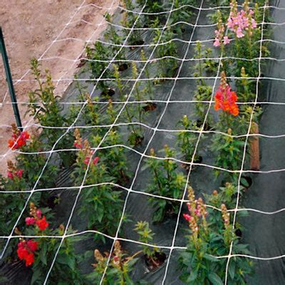 flower netting support