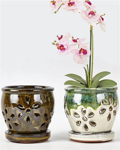 Flower Orchid Pots