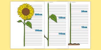 Flower Plant Height Chart