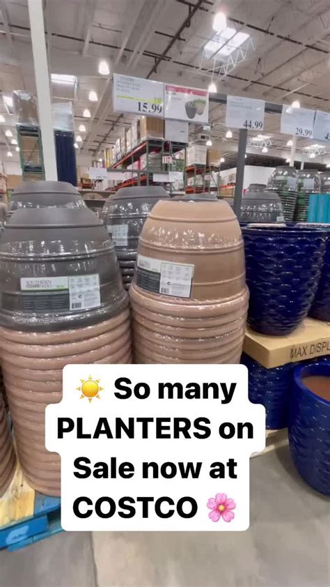 Flower Pots Costco