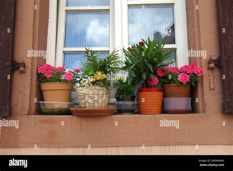 Flower Pots For Windows