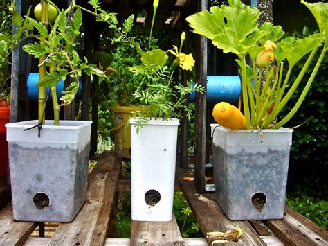 flower pots with holes in sides