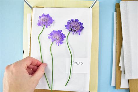 Flower Press Tutorial