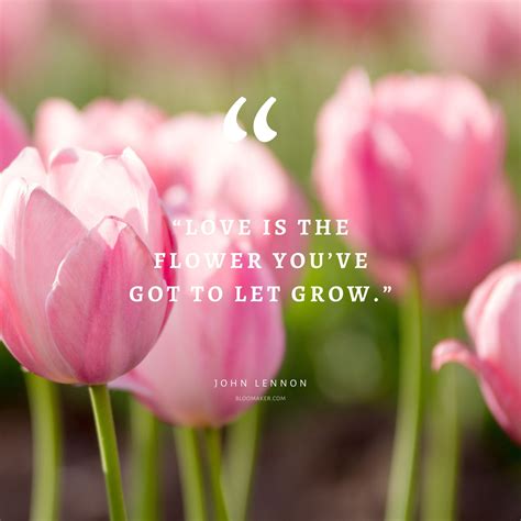 Flower Quotes For Caption