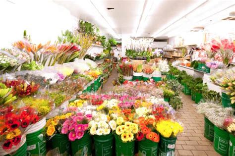 flower shop downtown toronto