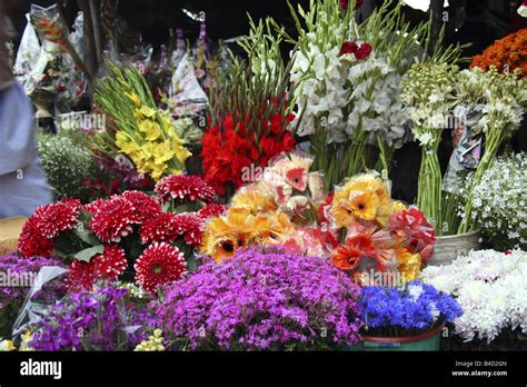 flower shops in delhi la