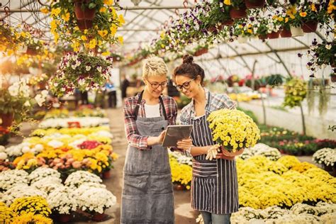 flower shops in donna tx