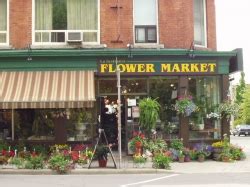 flower shops in hamilton ontario downtown
