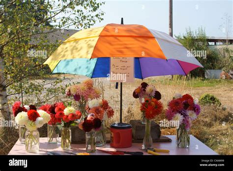 Flower Stand Enumclaw