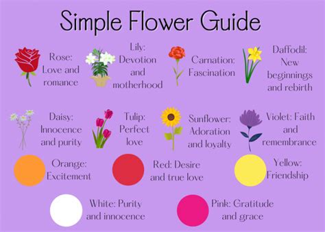 Flower That Represents Emotion