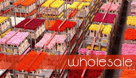 flower wholesalers in southampton