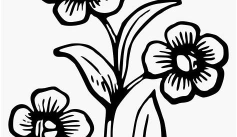 Flowering Plants Drawing Easy Flowers At Gets Free Download