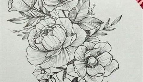 50 Easy Flower Pencil Drawings For Inspiration