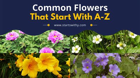 Flowers A - Z