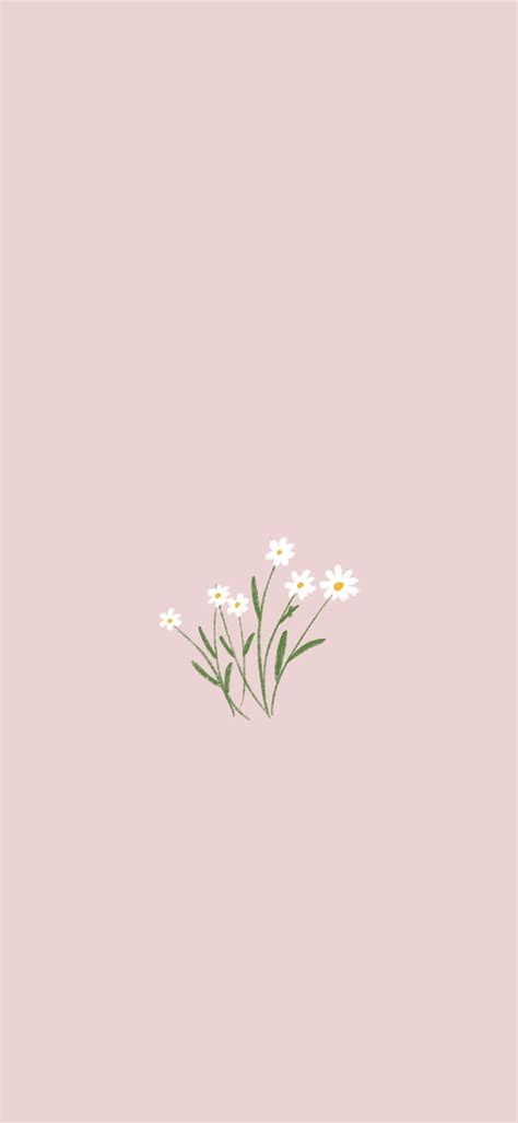 Flowers Aesthetic Simple