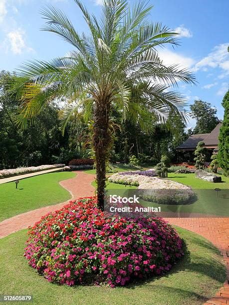 Flowers Around A Palm Tree