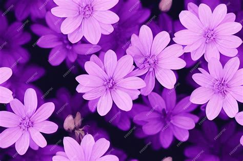 Flowers Background Violet