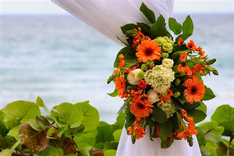 flowers boca raton delivery phone number