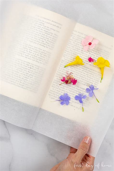 Flowers Book Pressing