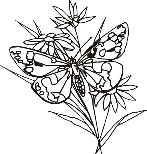 war1812.vyazma.info:flowers butterfly coloring pages