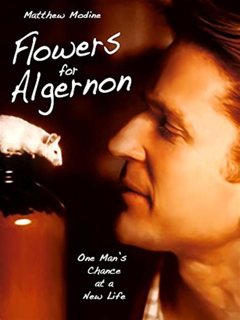 flowers for algernon movie posters