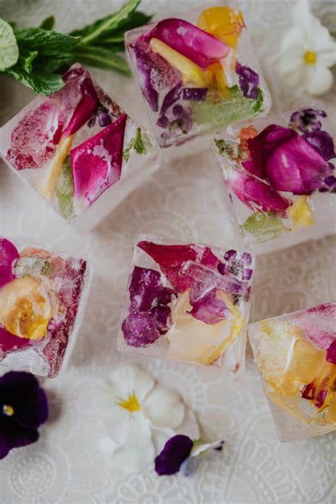 Flowers For Ice Cubes