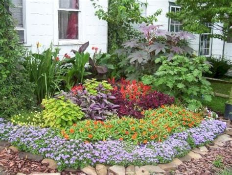 Flowers For Small Beds
