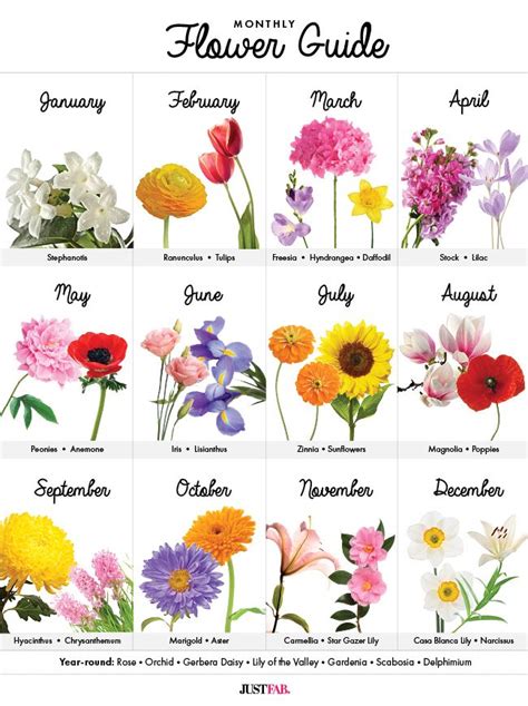 flowers for the month of may