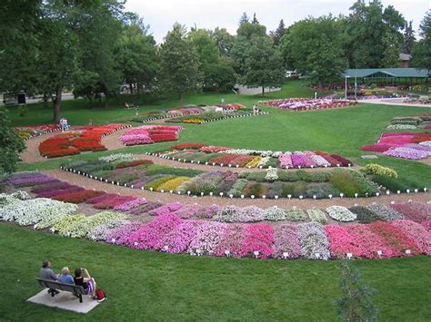 flowers fort collins colorado