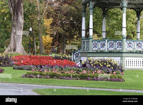 Flowers Halifax Canada