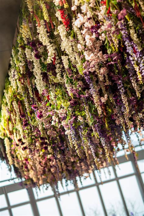 Flowers Hanging From Ceiling