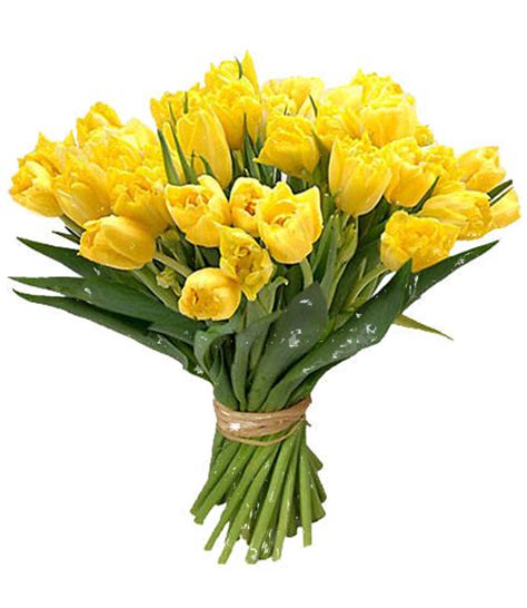 flowers images png free download
