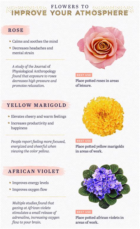 Flowers Improve Mood