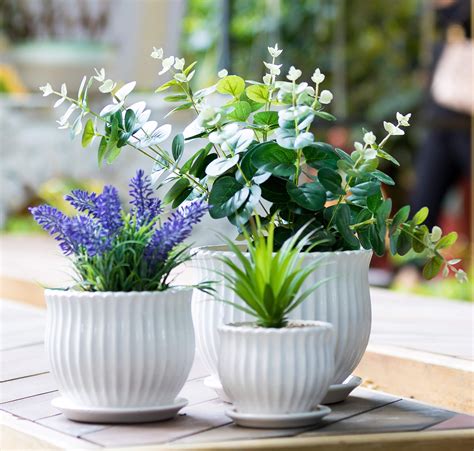 Flowers In Ceramic Pots
