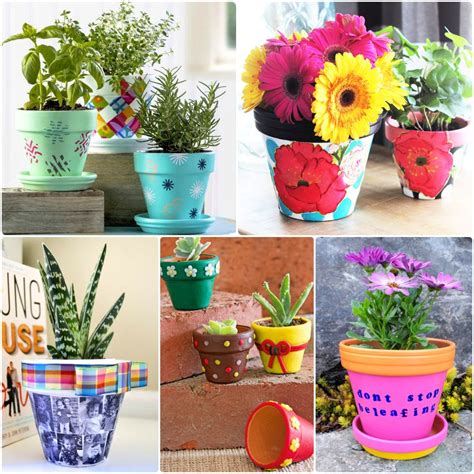 Flowers In Clay Pots