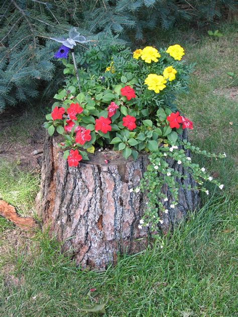 Flowers In Tree Stump