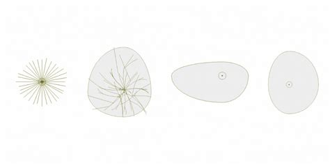 Flowers Library Archicad